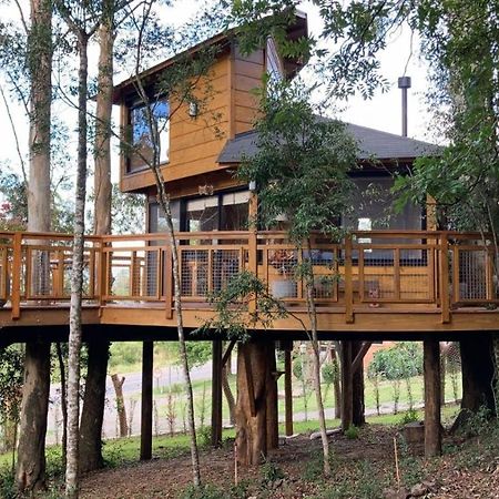 Casa Na Arvore Morada Dos Vagalumes Farroupilha Ngoại thất bức ảnh